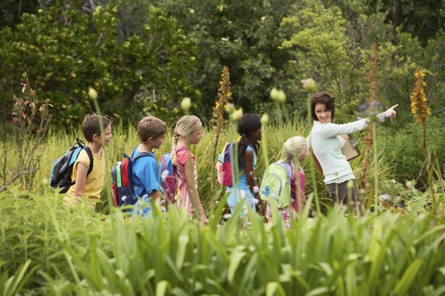 charter bus for school trips